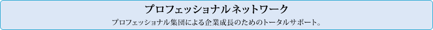 プロフェッショナルネットワーク プロフェッショナル集団による企業成長のためのトータルサポート。